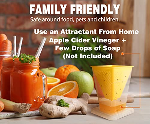 Fruit Fly Trap - 4 Pack - Non-Toxic No Baited Reusable Fruit Flies Catcher Environmentally Responsible Fruit Fly Killer Pet and People Safe