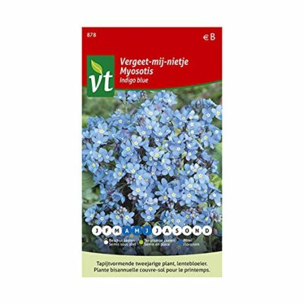 Woodland Forget-me-not, Indigo Blue Seeds