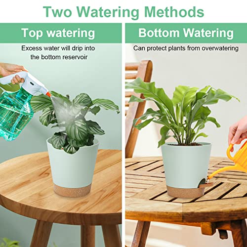 OFFCUP Plant Pots, 3pcs Plastic Plant Pots, 16.5cm Self Watering Plant Pots with Drainage Holes, Saucers and Reservoir, Suitable for Plants Indoo