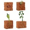 URFEDA Life Cycle Figurines of Plant, Growth Cycle Toys for Kids Learning and Teaching Aids Plant Life Cycle Growth Cycle Model Life Cycle Plant
