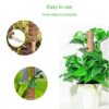 BECHOICEN Moss Pole, 2Pcs Coir Totem Pole Plant Support Totem Pole Moss Pole for House Plants Moss Pole for Cheese Plant with 20 Pieces Garden Ca