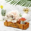 Biitfuu Wooden Succulent Planter Flower Herb Pot Indoor/Outdoor Home Garden Flower Decorative Container Storage Box 8.9 x 3.3 x 1.6inch