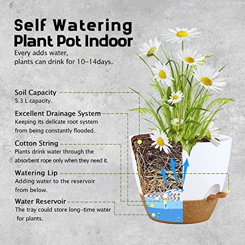 Warmplus 25cm Self-Watering Plant Pots Indoor, 2 Pack Large Plastic Plant Pots with Deep Reservior and High Drainage Holes for Indoor Outdoor Pla