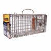 The Big Cheese Rat Cage Trap - Humane Rat Trap, Indoors and Outdoors, Catch Alive, Long lasting Rust Resistent, Silver