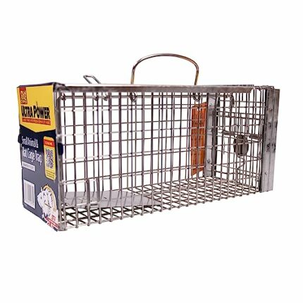 The Big Cheese Rat Cage Trap - Humane Rat Trap, Indoors and Outdoors, Catch Alive, Long lasting Rust Resistent, Silver