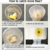 16PCS Window Fly Traps, Sunflower Style Window Fly Stickers, Fruit Fly Trap Insect Flies Wasp Pest Killer - 4 Packs x 4 Traps Each Package