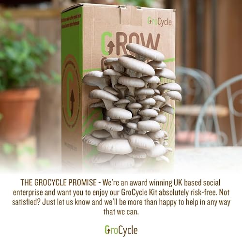 GroCycle Oyster Mushroom Growing Kit | Gardening Gifts - Grow Your Own Mushrooms Kit | | Fun to Grow & Delicious to Eat | Ready to Cook in 14 Day