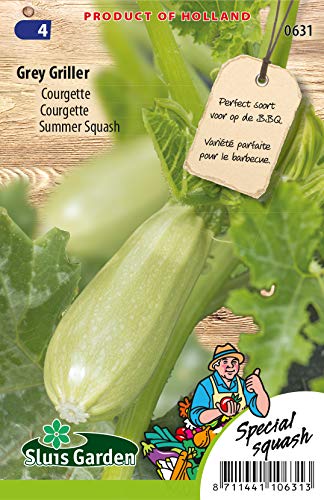 Marrow, Summer Squash Grey Griller F1 Vegetable Seeds per Gram - an Open Plant Growth Without Many Branches - Seeds per Gram: +/-8