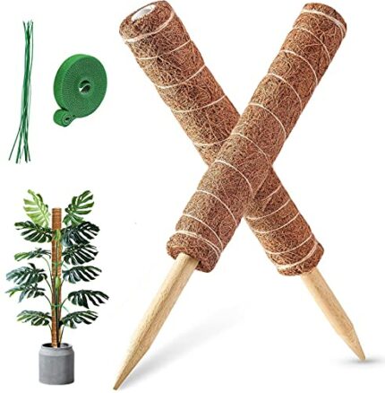 MABUSIYI Moss Pole, 2PCS 40CM/16inches Coir Moss Pole for Monstera & Cheese Plant, Plant Stands Indoor, 20 Cable Ties and 2M Garden Ties(16" 2PCS