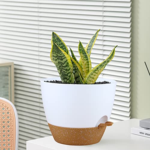 Warmplus 25cm Self-Watering Plant Pots Indoor, 2 Pack Large Plastic Plant Pots with Deep Reservior and High Drainage Holes for Indoor Outdoor Pla