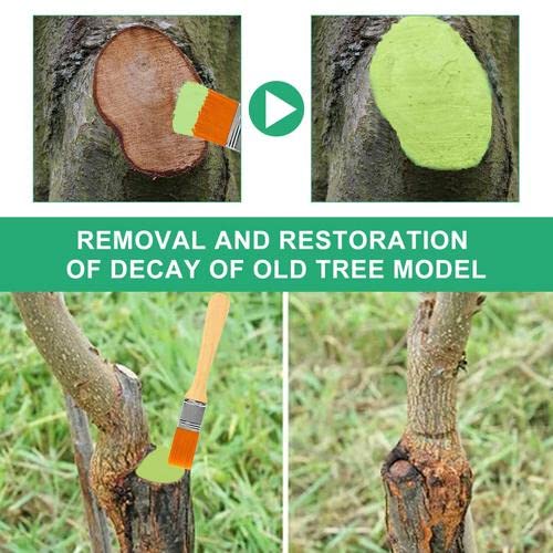 mein Plant Wound Pruning Sealer | Tree Pruning Cutting Paste | 100g Tree Wound Dressing with brush, Bonsai Wound Healing Agent, Plant Grafting an