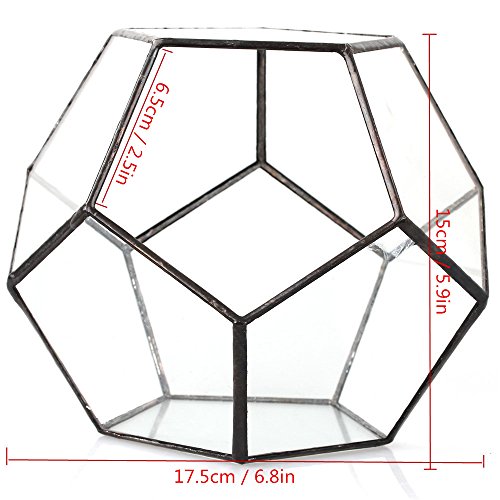 NCYP 15cm Small Glass Geometric Terrarium Planter, Tabletop Pentagon Display Terrarium Pot for Succulent Cacti Fern Moss Air Plants, Indoor Home