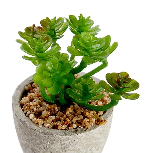 Juvale Artificial Succulents 6 Pack - Cactus Plants with Grey Pots - 4 inch