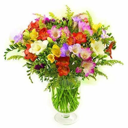 30 Sweetly Scented Guernsey Freesia Bouquet with 8 Day Freshness Guarantee. Perfect for Birthdays and Anniversaries