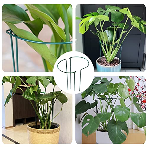 JIALWEN 8 Pack 25×40cm Plant Support Stakes Ring Cages, Metal Garden Plant Stake, Green Half Round Large Plant Supports for Vegetable, Tomato, Pe