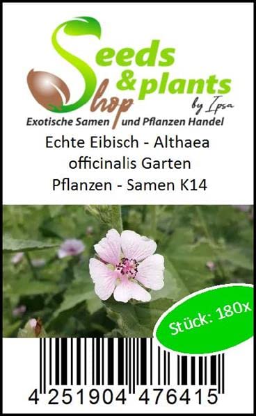 Pcs - 180x Real Marshmallow - Althaea Officinalis Shrubs Garden Plants - Seeds K14 & Plants Shop by Ipsa