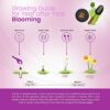 16 Specie Crocus Mixed- A Beautiful Splash of Colour Early in The Year- Beautiful Crocus Blooms Year After Year - Stunning Display - for Your Bea