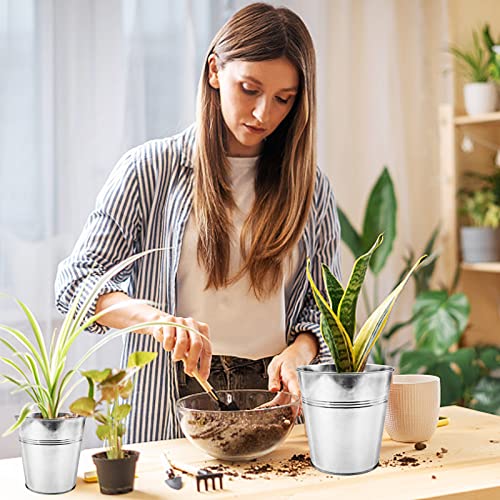 WAIZHIUA 12Pcs 12cm Metal Flower Pots Galvanised Iron Plant Pots Garden Planters Plant Container with Mini Tools for Plants Herb Flowers Shrubs I