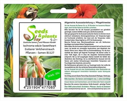 Pcs - 10x Iochroma Edule Sweetheart Edible Veilchenstrauch Plants - Seeds B1127 & Plants Shop by Ipsa