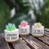 Birthday Gifts For Women, Gifts For Her, 50th Birthday Gifts For Women, Presents for Women, Gifts For Women Birthday Unique, Garden Gifts For Wom