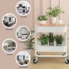 aasdf 2 Tier Rolling Cart Metal Utility Cart Easy Assemble Utility Serving Cart Sturdy Storage for Classroom Office Home Bedroom Bathroom,A1