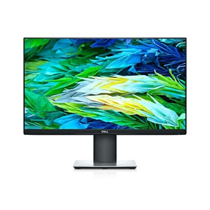 Dell 24 Monitor P2421D