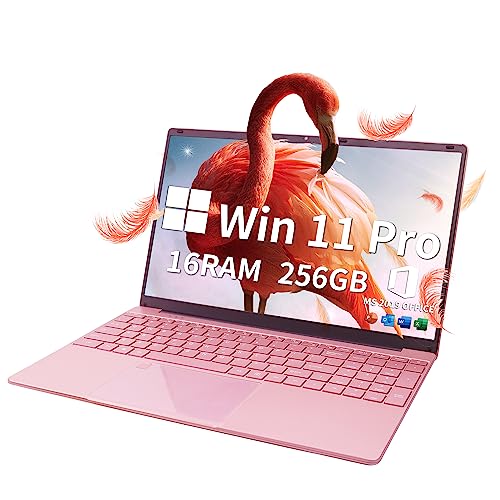 Fsjun Laptop【Win11 Pro/MS Office2019】 15.6 inch IPS FHD Display, 12th Gen Alder Lake N95 CPU (Up to 3.4Ghz), 16GB RAM, 256GB NVME SSD, USB3.0 x2,
