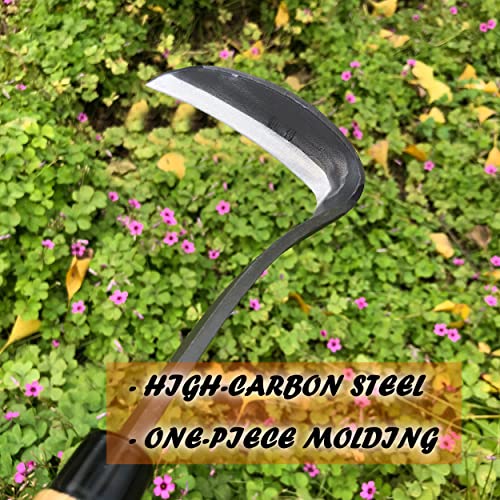 SHANFEEK Japanese Weeding Hoe Gardening Tools 33CM Weed Remover Tool High-Carbon Steel One-Piece Molding With Hard Solid Wood Handle