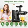 AMZCHEF Cold Press Juicer with 2 Speed Control - High Juice Yield Juicer Machines with Ultradense Filter - Masticating Slow Juicer for Whole Frui