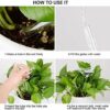 5 Pcs Bird Shape Plant Waterer Plastic Plant Watering Globes Self-Watering Bulbs Large Garden Watering Stakes Automatic Irrigation Device for Ind