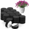 BELLE VOUS 50 Pack Invisible Plant Pot Feet - Invisible Black Flower Pot Risers - Non-Slip with Strong Self Adhesive Pads for Medium and Large Si