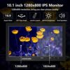 10.1 Inch Small Monitor, Raspberry Pi Monitor Built-in Speakers, Mini Monitor 1280 x 800, HDMI Monitor 60 Hz, 3ms, IPS Screen Display w/Remote Co