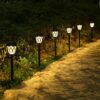Tomshin-e Solar Garden Lights Outdoor Pathway Light Solar Powered Waterproof Stake Lights Outside Ornaments for Patio Lawn Yard Ground Backyard C