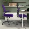 Office Chair, Ergonomic Desk Chair with Adjustable Lumbar Support, High Back Mesh Computer Chair with Flip-up Armrests-BIFMA Passed Task Chairs,
