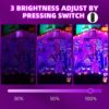 Ankishi UV Black Light 100W/50W/30W, 385-400nm UV Light Dimmable, Ultraviolet Light with 1.5M Power Cord Plug and Switch, UV Floodlight IP66, LED