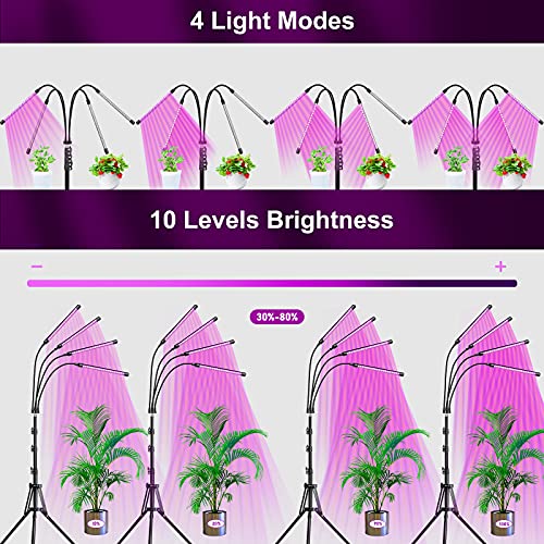 EWEIMA Grow Lights for Indoor Plants, 80 LEDs 4 Heads Full Spectrum Led Grow Light with Stand, Plant Light with 10 Dimming Level & Auto 4/8/12H T