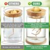 Avocado Tree Growing Kit - Avocado Pit Planting Bowl with Cork and Wooden Base, Cultivating Seedlings in Novel Way, Great Gift for Family Friends