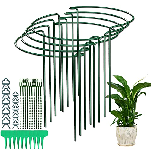 JIALWEN 8 Pack 25×40cm Plant Support Stakes Ring Cages, Metal Garden Plant Stake, Green Half Round Large Plant Supports for Vegetable, Tomato, Pe