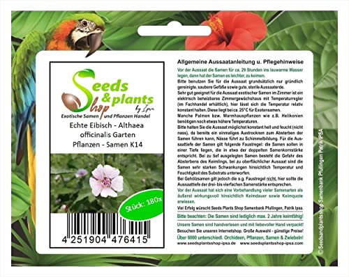 Pcs - 180x Real Marshmallow - Althaea Officinalis Shrubs Garden Plants - Seeds K14 & Plants Shop by Ipsa