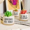 Birthday Gifts For Women, Gifts For Her, 50th Birthday Gifts For Women, Presents for Women, Gifts For Women Birthday Unique, Garden Gifts For Wom