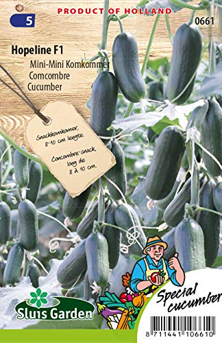 Cucumber Snack Hopeline F1 Vegetable Seeds per Gram - Nice and Crispy and Very Tasty - Seeds per Gram: +/-8