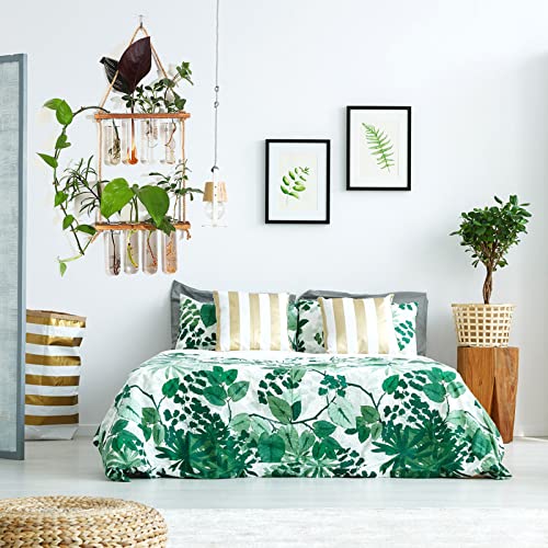 Plant Propagation Station, Qupzze Wall Hanging 2 Tiered Test Tubes Propagation Station with Wooden Stand, Propagation Planters Glass Tube for Hyd