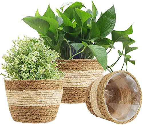 KAHEIGN 3Pcs Seagrass Planter Basket, 3 Size Woven Plant Pot Indoor Outdoor - Flower Pots Cover Storage Basket Plant Containers for Home Decor (B