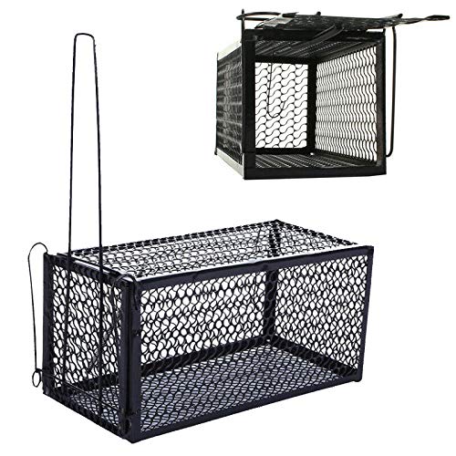 Rat Traps X2 Humane Rat Trap Cage Rat Catchers Bait Live Rat Trap Set of Two for Rats, Mouse, Rodents, Mice and Vermin