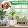 Avocado Tree Growing Kit - Avocado Pit Planting Bowl with Cork and Wooden Base, Cultivating Seedlings in Novel Way, Great Gift for Family Friends