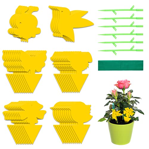 24pcs Fruit Fly Trap, Sticky Fruit Fly and Fungus Gnat Trap, Dual-Sided Fruit Fly Trap Bug Catcher for Protect Plants and Control Indoor Plant Bu