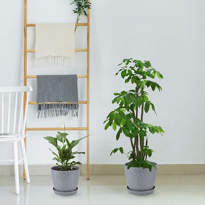 Plant Pots Indoor, 6Pack Plastic Plant Pots 19/17.5/16.5/15.5/14/11.5cm, Flower Pots Outdoor Self Watering Indoor Plant Pot with Drainage Holes a