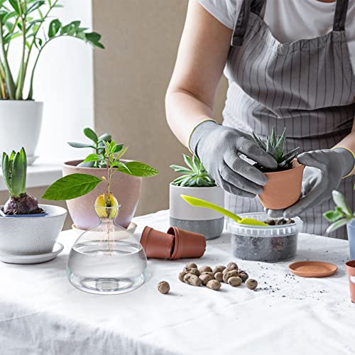 Hiceeden Avocado Seed Starter Vase Planter, Clear Avocado Tree Growing Kit Pot, Medium Avocado Vase Grow Glass Plant Pot Gift for Indoor Outdoor