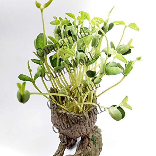 GuangTouL G-root Flower Pot Guardians of The Galaxy Baby Action Figures Model for Pen Pot, Home, garden, Desktop Decoration Supplies