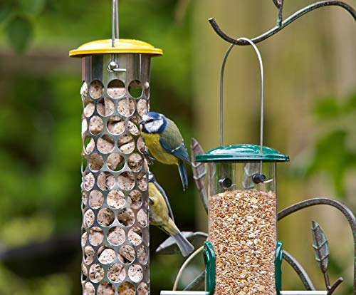 Peckish Extra Goodness Suet Nuggets 1kg
